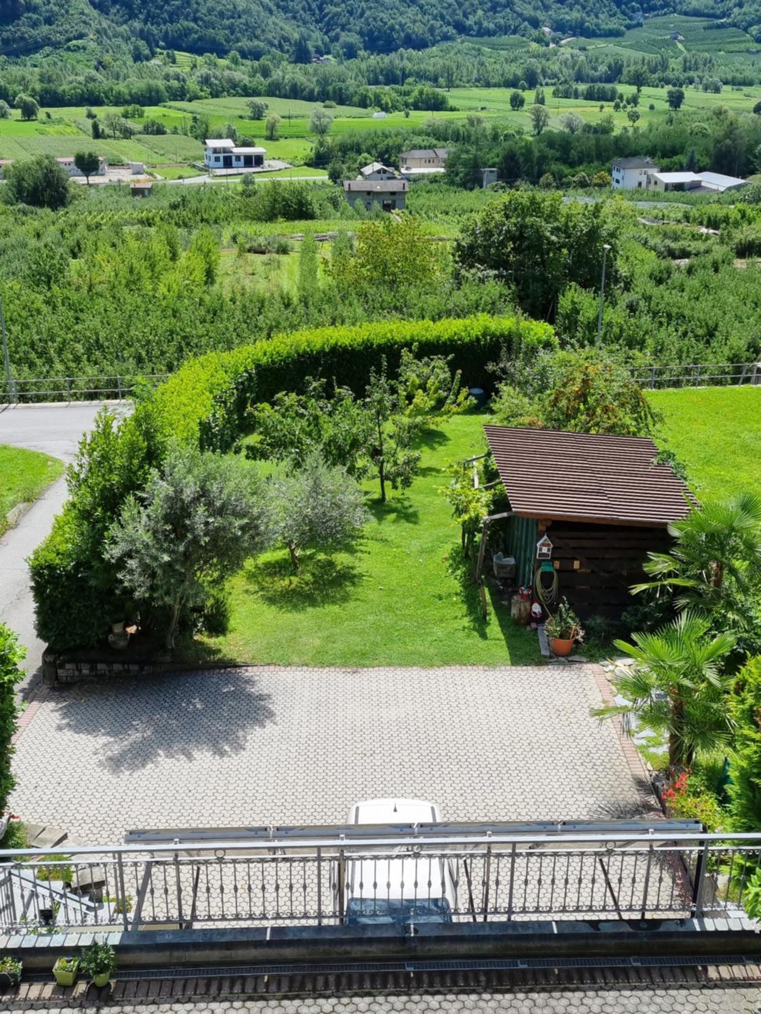 B&B Il Grappolo Bianzone Luaran gambar