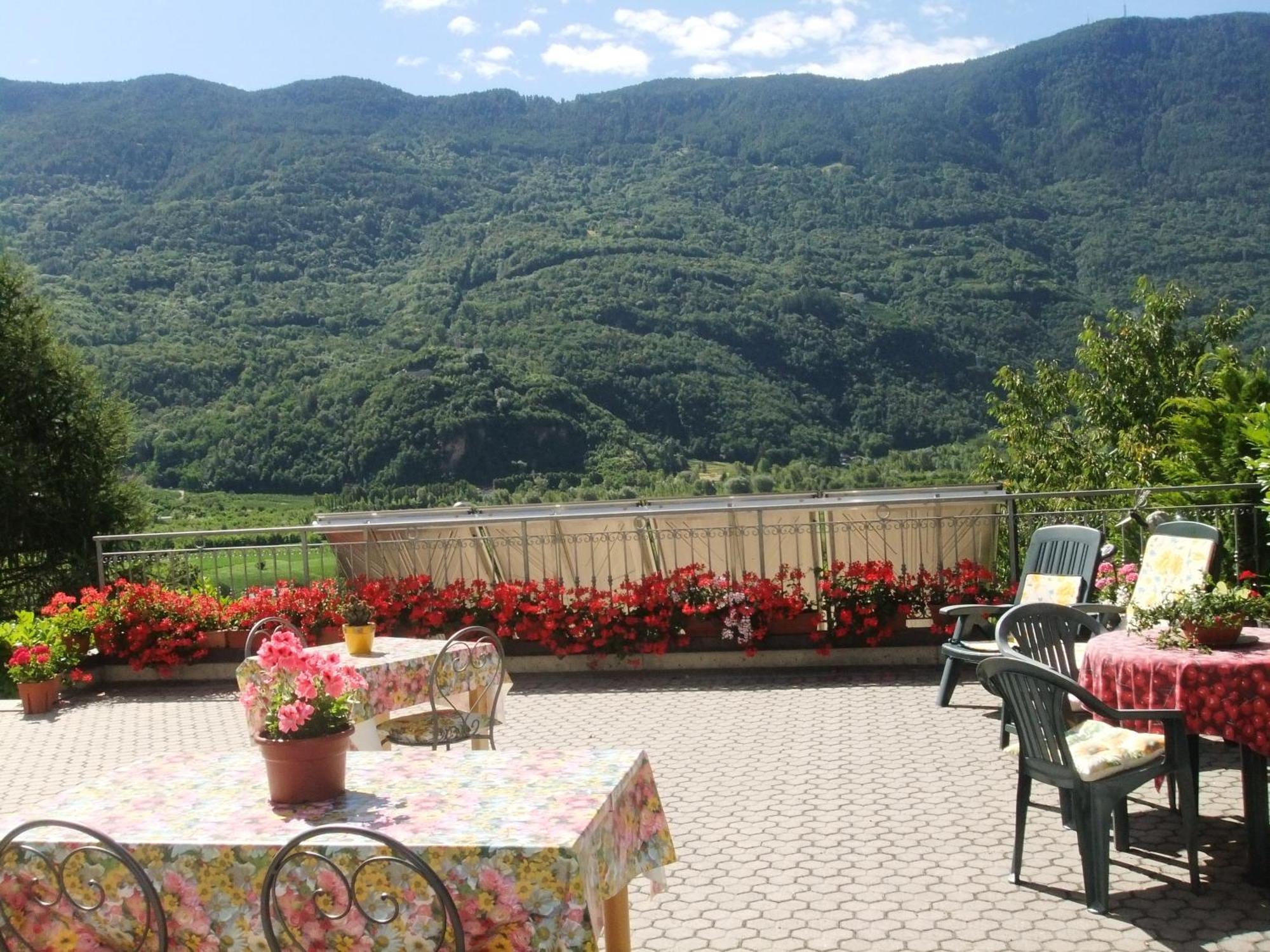 B&B Il Grappolo Bianzone Luaran gambar
