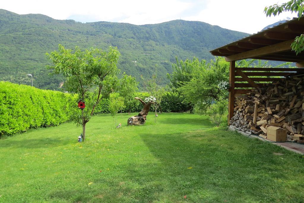 B&B Il Grappolo Bianzone Luaran gambar