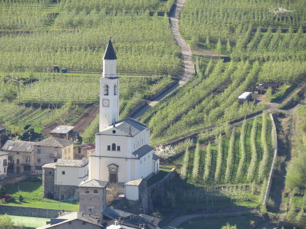 B&B Il Grappolo Bianzone Luaran gambar